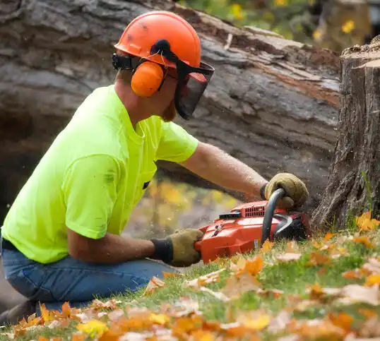 tree services Moorland